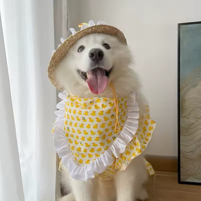 Ensemble robe et chapeau pour chien de grande race « Bonheur estival » – Luxe