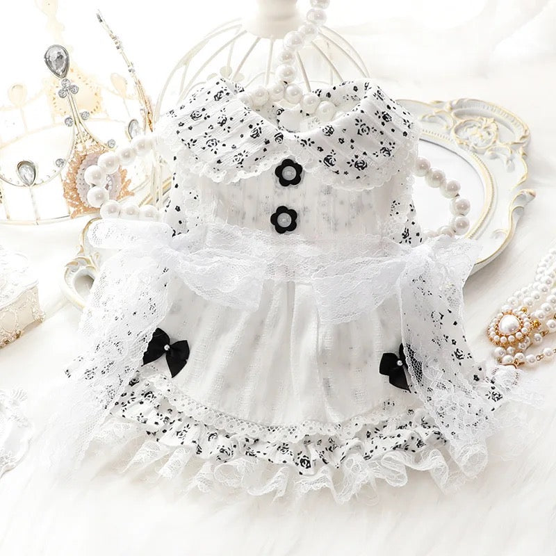 Robe Pays des merveilles hivernal