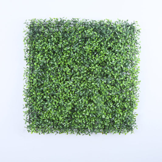 Valencia (box of 12)