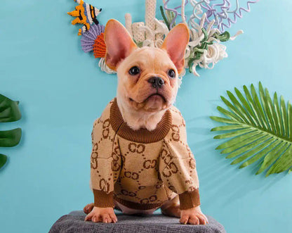 Pull tricoté Gigi pour chien | Pull pour chien