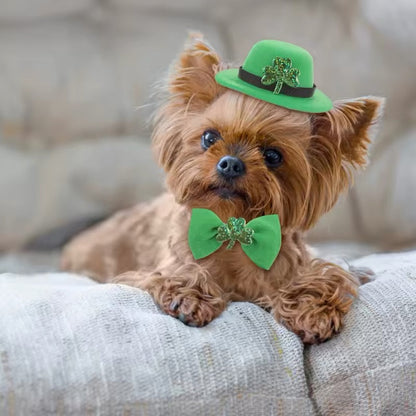 Ensemble de la Saint-Patrick – Ensemble d'accessoires de luxe festifs pour chiens