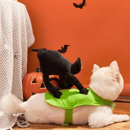 Un déguisement d'Halloween pour chien chat peureux