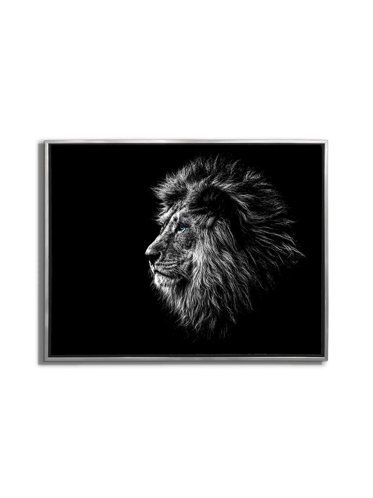 Wildlife Canvas Art-Lions Head Blue Eye in Black and White -Silver varnish