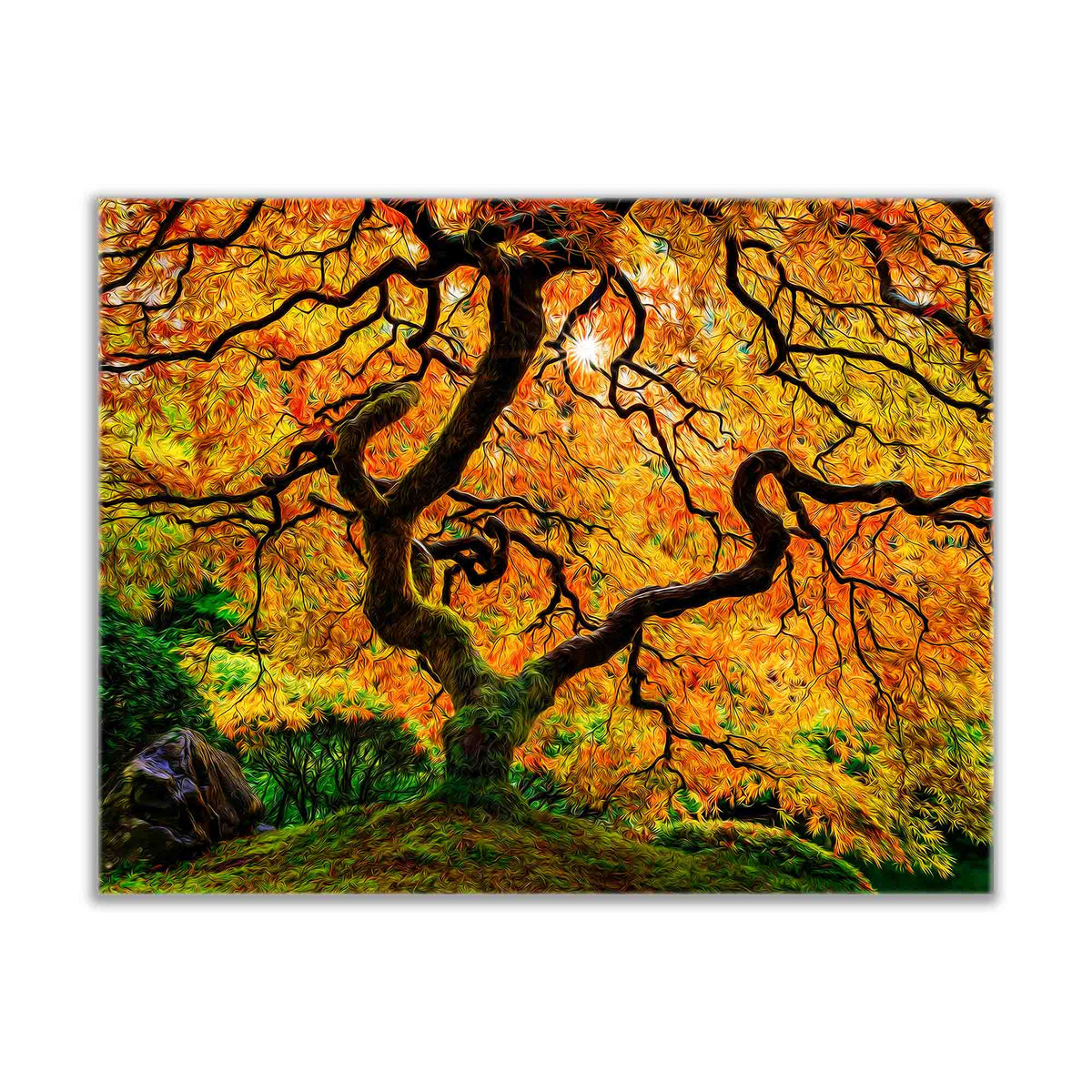 Toile imprimée - Oranger - Art de la nature
