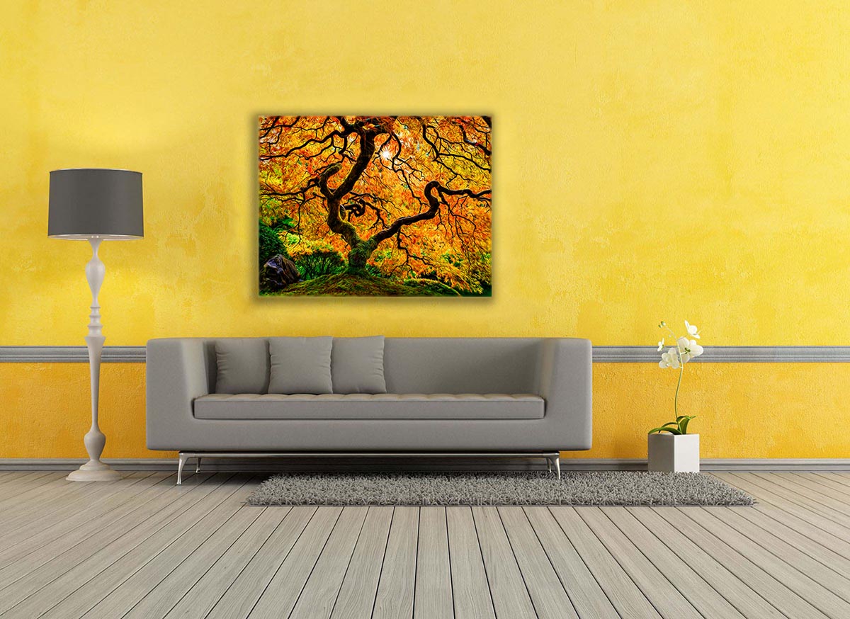 Toile imprimée - Oranger - Art de la nature
