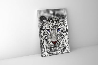 Décoration murale-Tigre blanc aux yeux bleus- Décoration sur le thème de la faune et la flore
