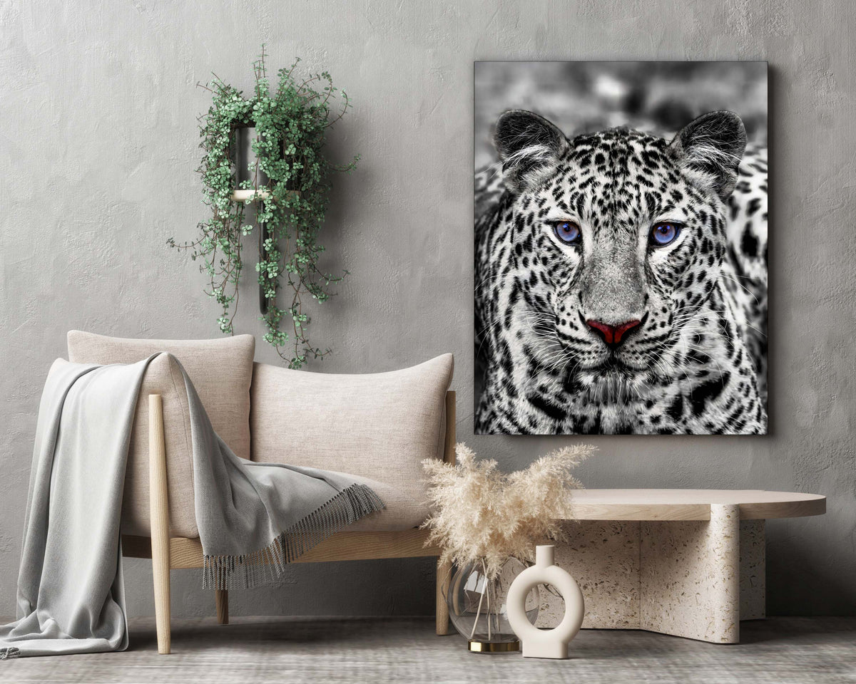 Décoration murale-Tigre blanc aux yeux bleus- Décoration sur le thème de la faune et la flore