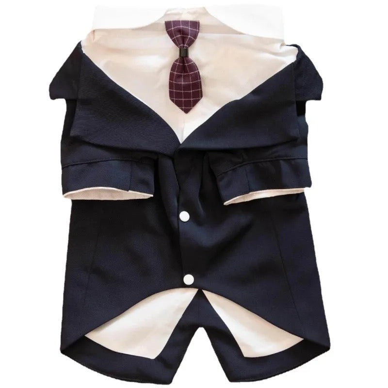 Smoking de mariage pour chien | Tenue de cérémonie
