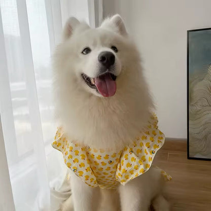 Ensemble robe et chapeau pour chien de grande race « Bonheur estival » – Luxe
