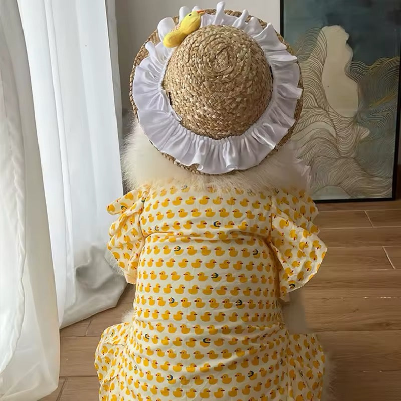 Ensemble robe et chapeau pour chien de grande race « Bonheur estival » – Luxe