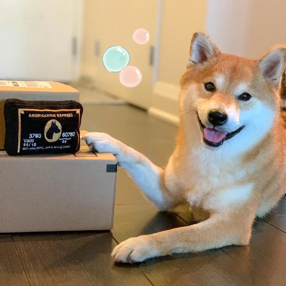Jouet pour chien American Pawxpress Card | Peluche pour chien