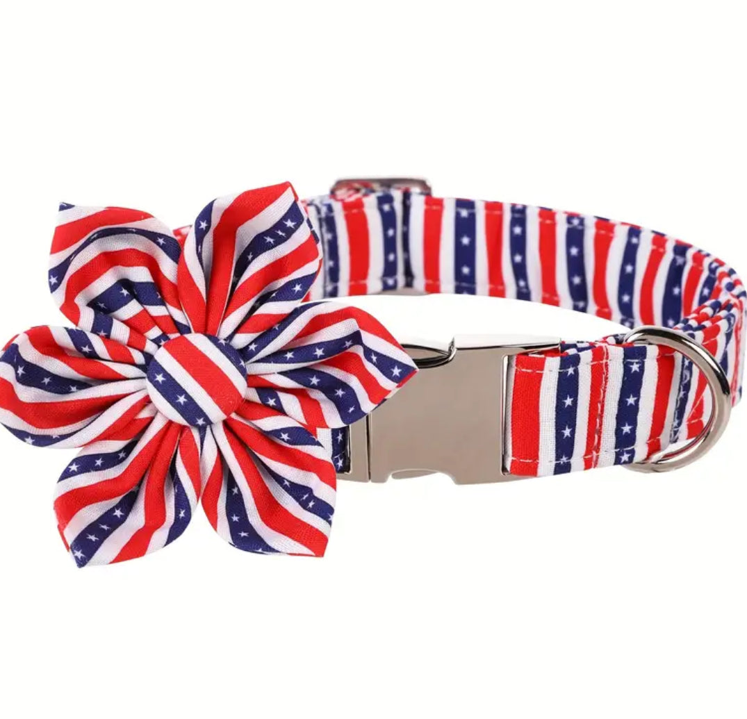 Collier Fête de l'Indépendance
