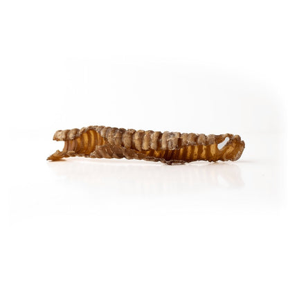 Trachée d'agneau de 12,7-17,8 cm