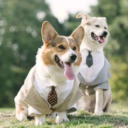Smoking de mariage pour chien | Tenue de cérémonie