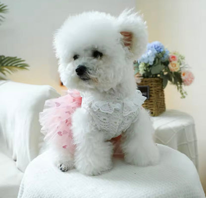 Robe pour chien Laura | Robe de créateur pour petits chiens