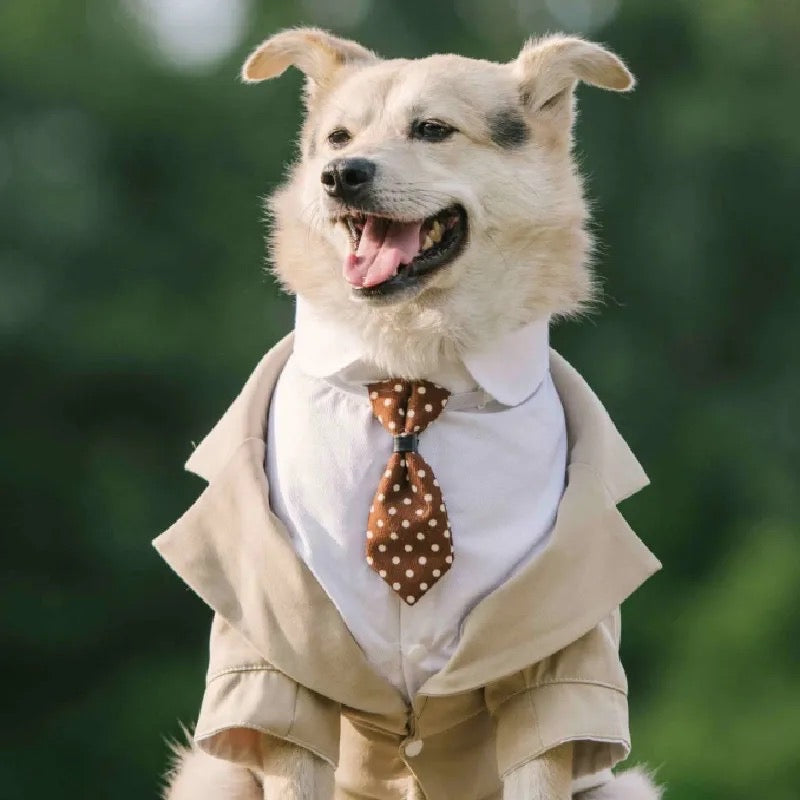 Smoking de mariage pour chien | Tenue de cérémonie