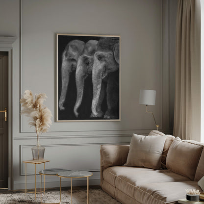 Art mural Le plus grand chef-d’œuvre de la nature, un éléphant ; la seule grande chose inoffensive…
