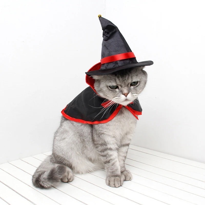 Costume de chien sorcière | Costume d'Halloween pour chien