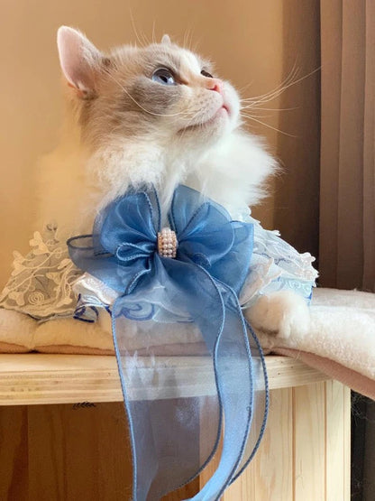 Bandana Cassiopée