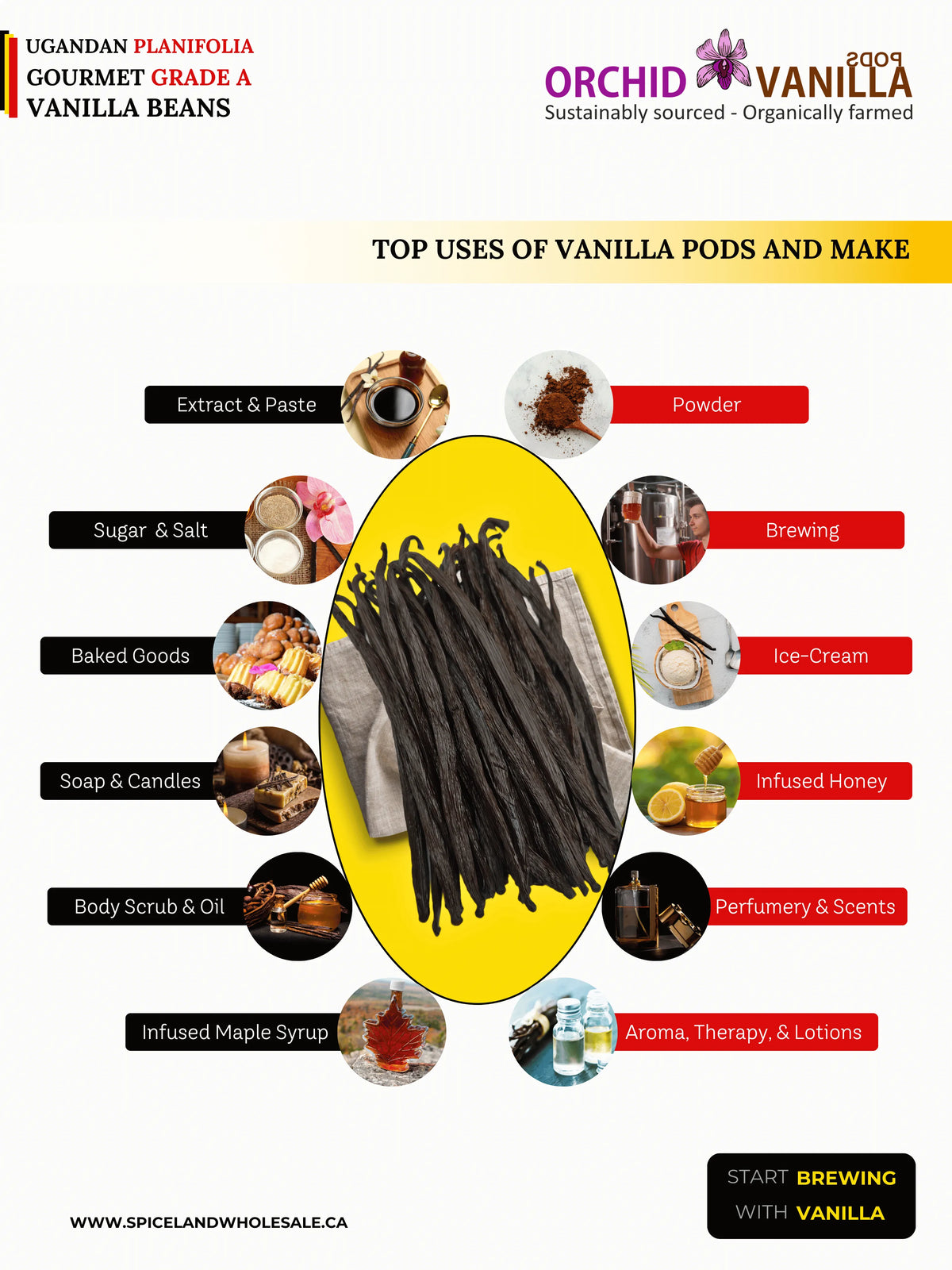 Gousses de vanille de l'Ouganda, Grade A, Gourmet <br>Pour extraits et pâtisseries<BR>À l'once