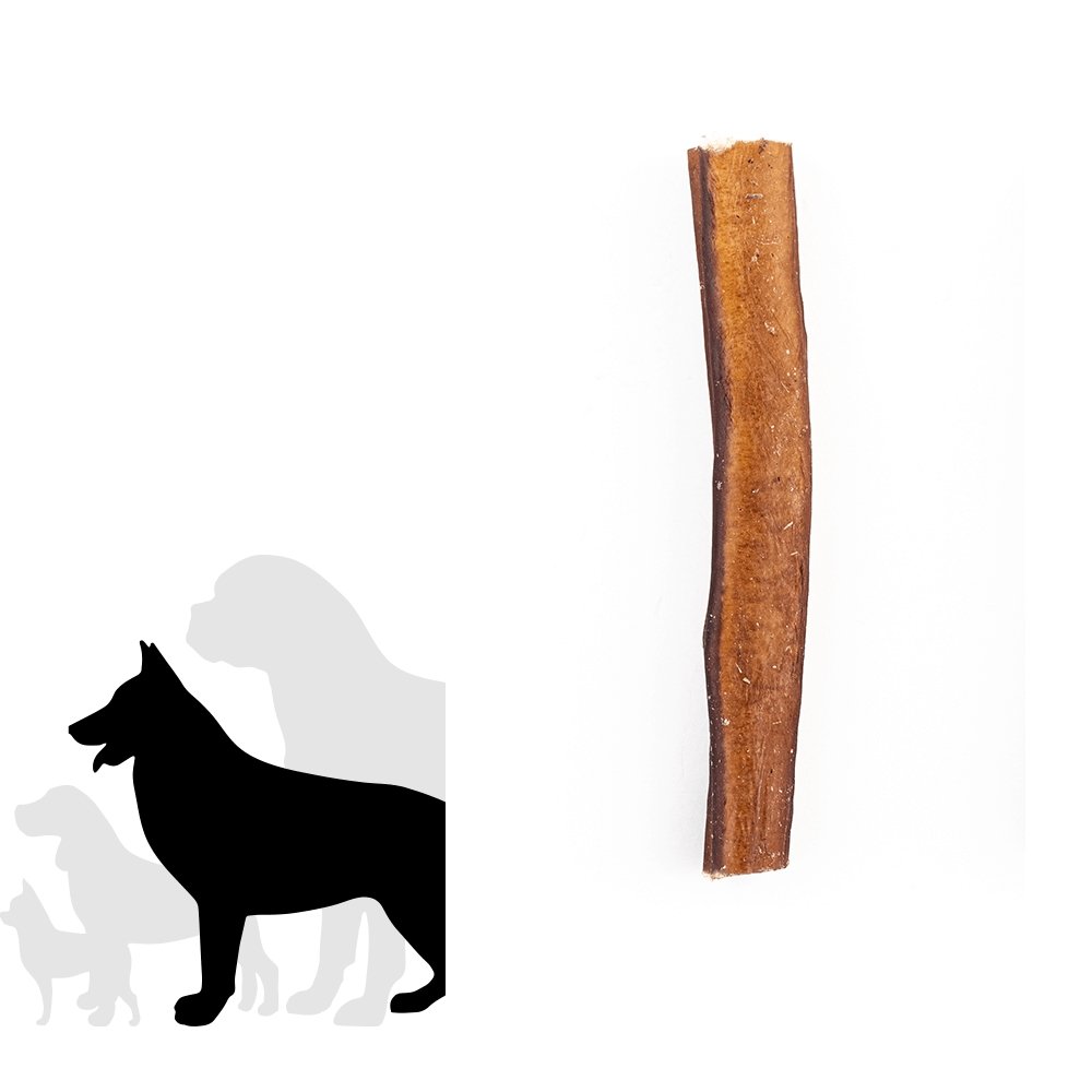 Bâtonnet à mâcher Jumbo de 15 cm