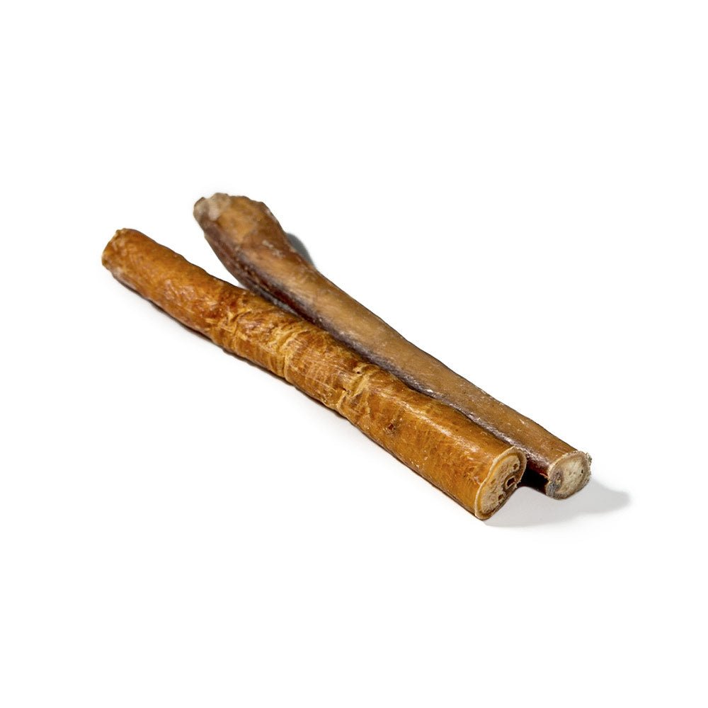 Bâtonnet à mâcher Jumbo de 15 cm