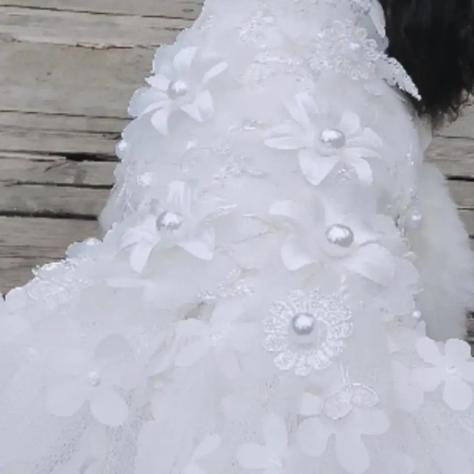 Robe pour chien Garden Grace | Robe de soirée élégante pour chien