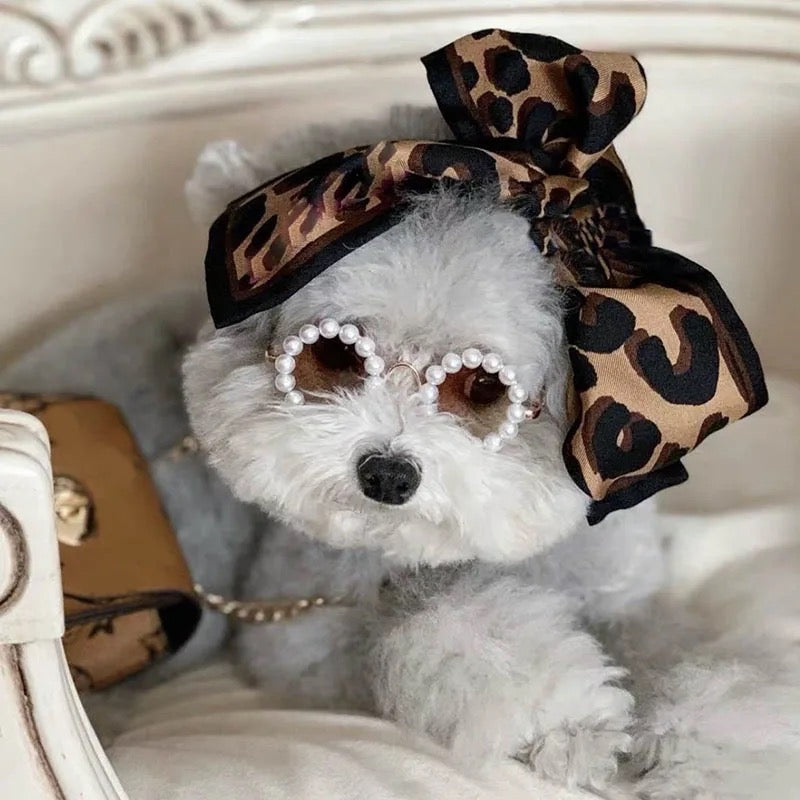 Lunettes de soleil nacrées pour chien | Lunettes de soleil pour animaux de compagnie