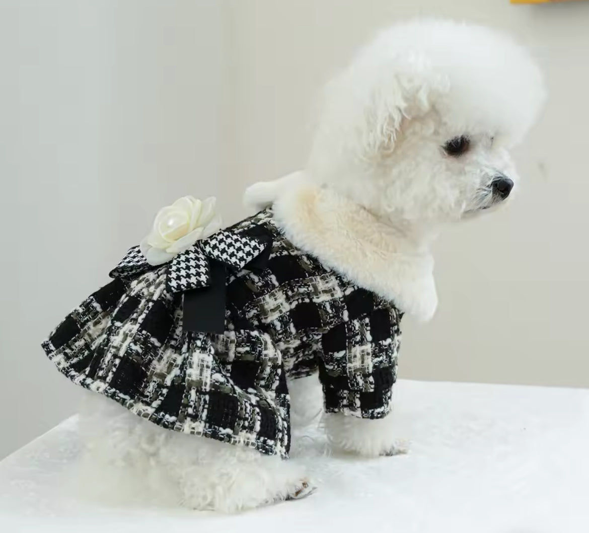 Coco Chewnel Dog Dress | Dog Dress for Special Occasions