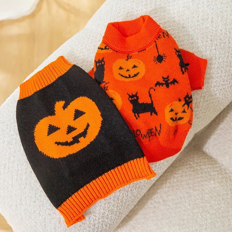 Pull pour chien citrouille | Costume d'Halloween pour chien