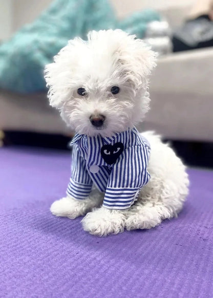 Heart Eyes Dog Shirt | Matching Human and Dog Outfit
