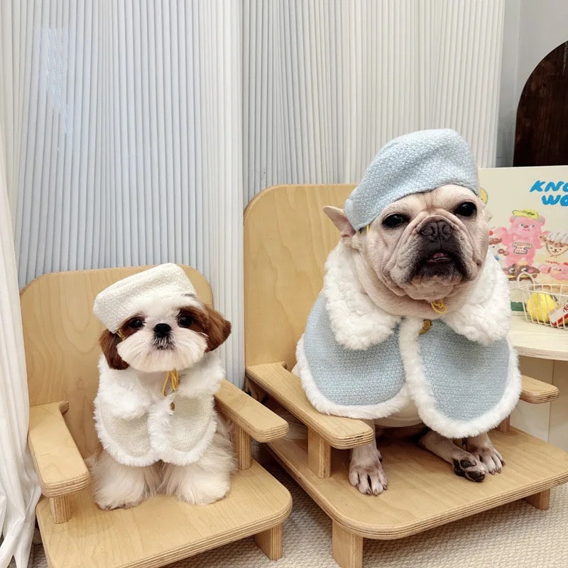 Magnifique ensemble cape pour chien | Cape élégante avec bonnet assorti