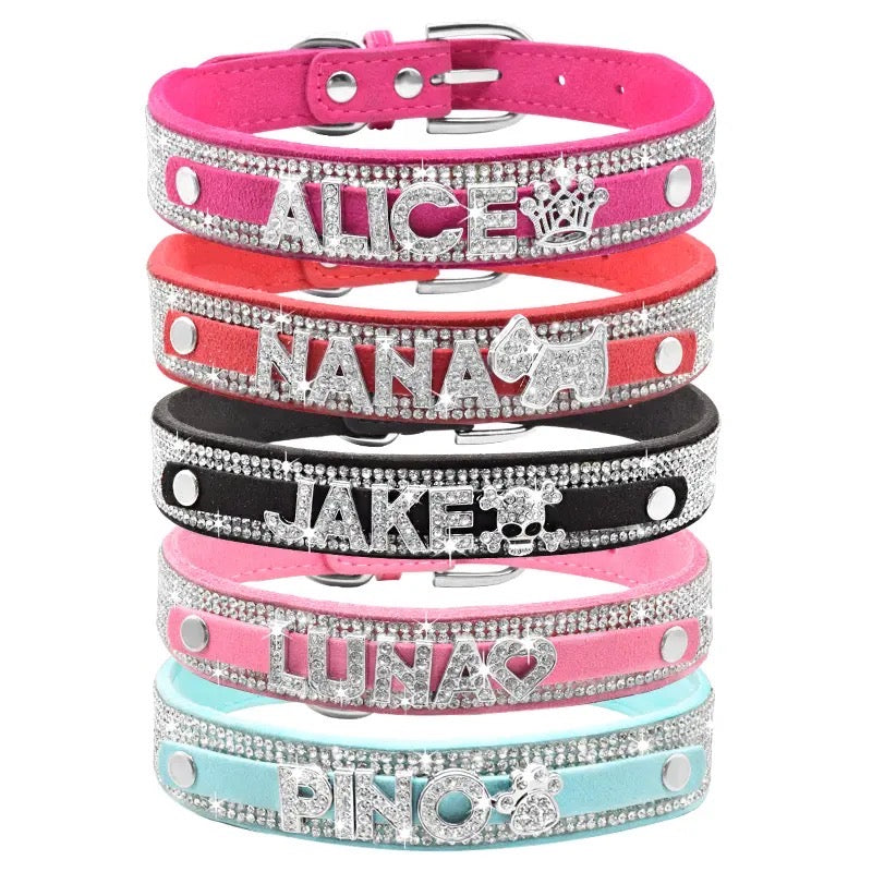Collier pour chien avec nom personnalisé | Collier personnalisé pour animaux de compagnie
