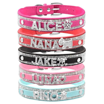 Collier pour chien avec nom personnalisé | Collier personnalisé pour animaux de compagnie
