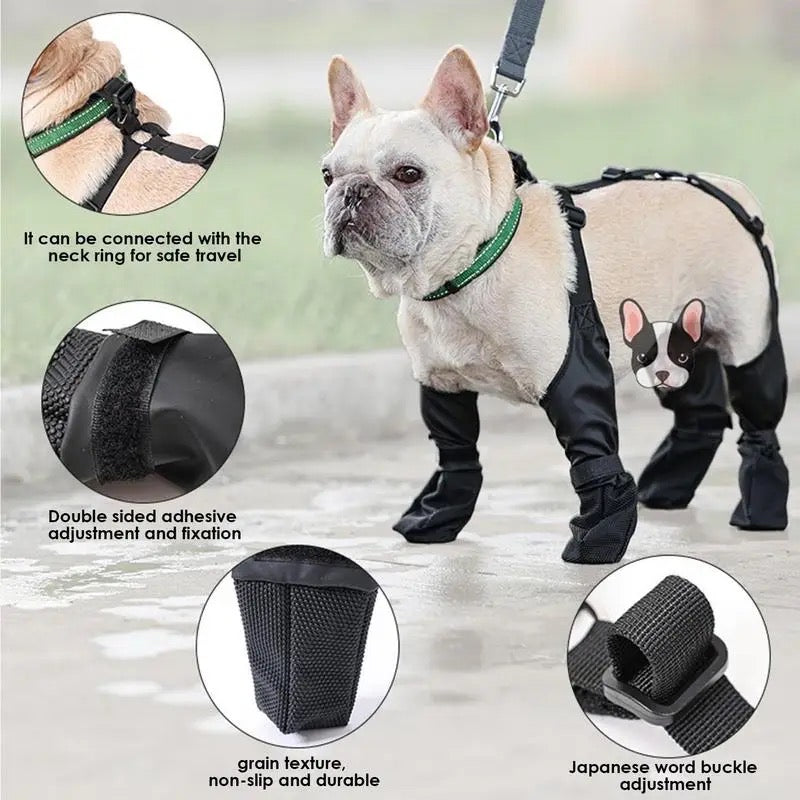 Suspender Dog Boots | Fashion Dog Boots with Suspenders
