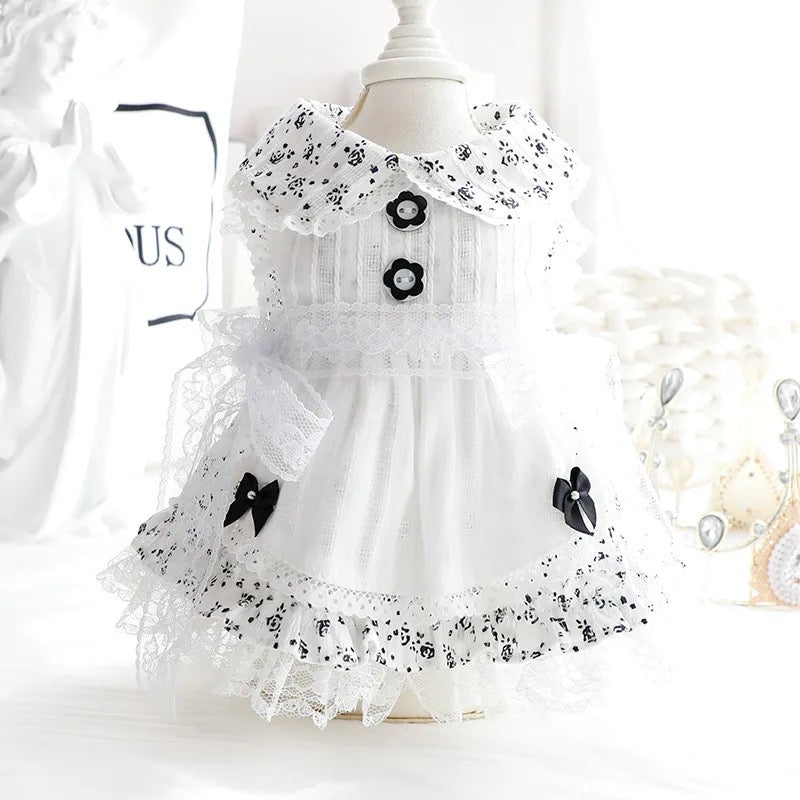 Robe Pays des merveilles hivernal