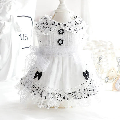Robe Pays des merveilles hivernal