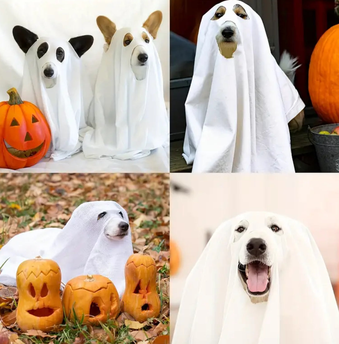 Costume de Chien Fantôme | Costume d'Halloween pour Chien