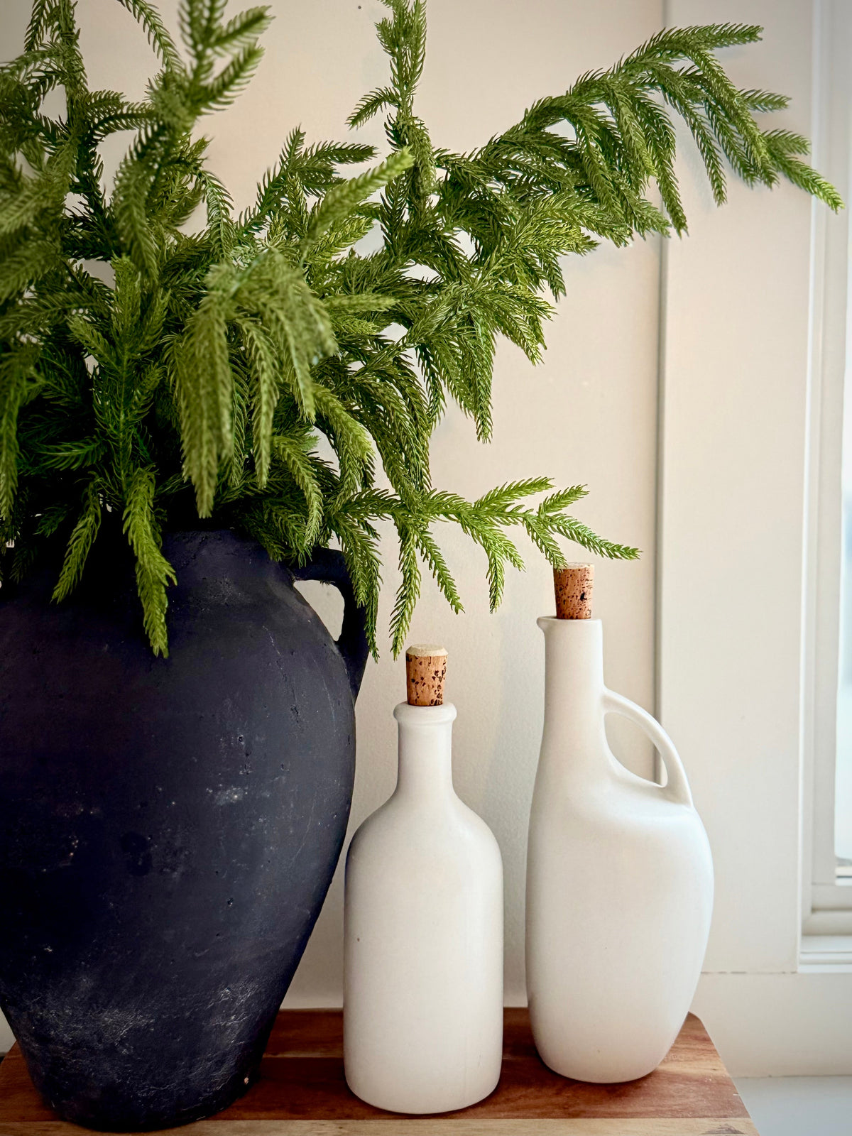 Norfolk Pine Branch