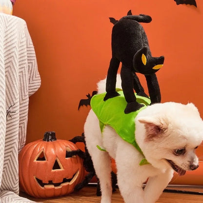 Un déguisement d'Halloween pour chien chat peureux