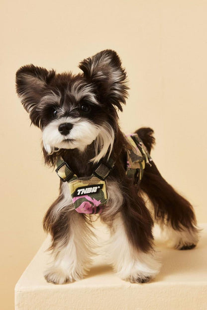 Gilet pour chien d'automne | Gilet pour chien par temps frais