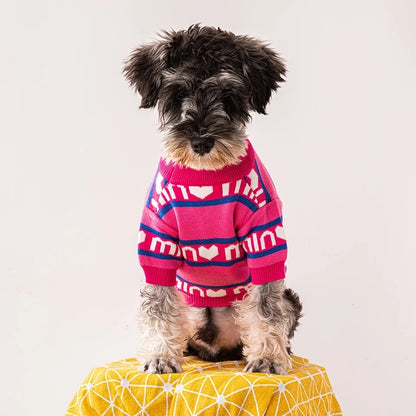 Pull Min Min pour chiens – Tenue douillette en tricot pour chiens