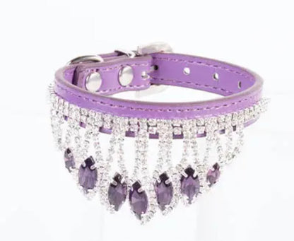 Collier pour chien Altesse Royale | Collier pour chien en strass