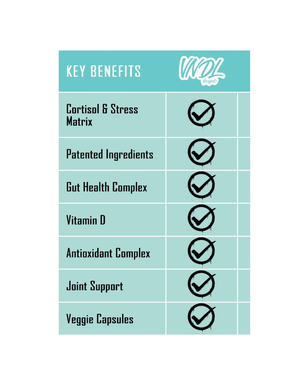 VNDL Project MULTI-V Multivitamin