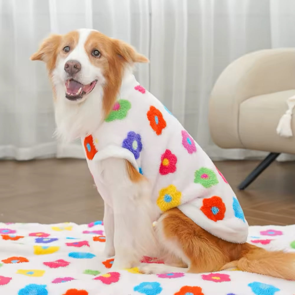 Pull le Printemps est là – Pull pour chien