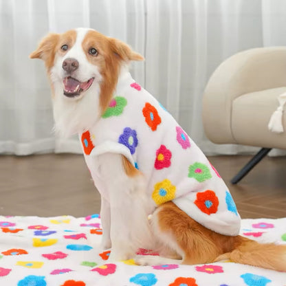 Pull le Printemps est là – Pull pour chien