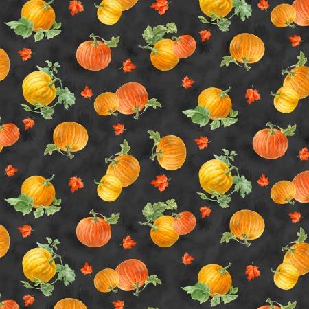 Harvest Gold - Lancer de citrouilles noires