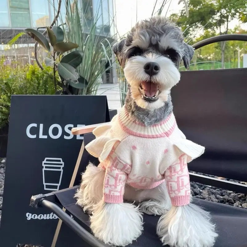 Pull pour chien | Pull en maille Deorella pour chien