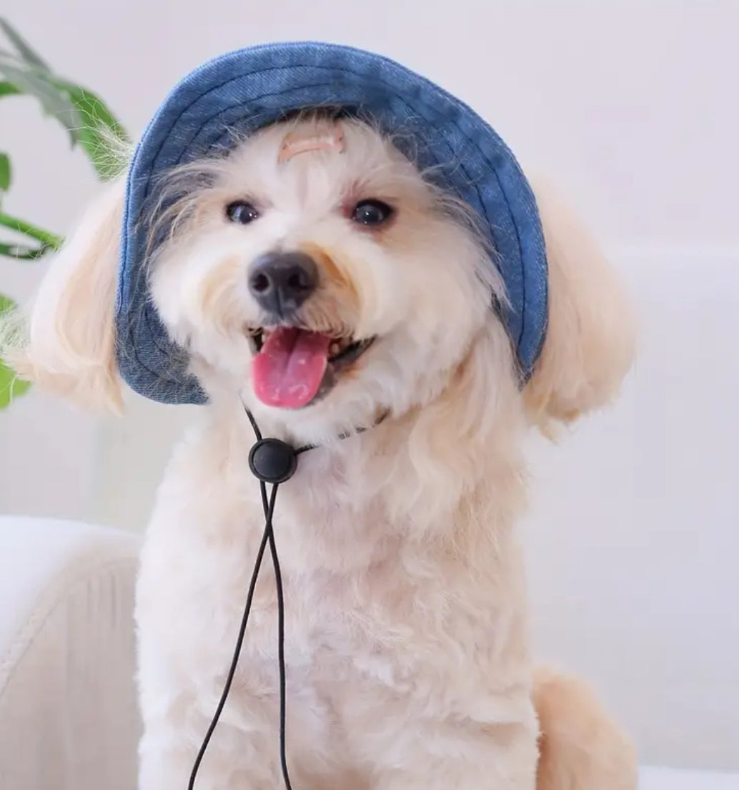 Justine Dog Hat | Dog Fashion Hat