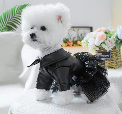 She’s a Rockstar Dog Dress | Dog Dress for Special Occasions